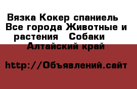 Вязка Кокер спаниель - Все города Животные и растения » Собаки   . Алтайский край